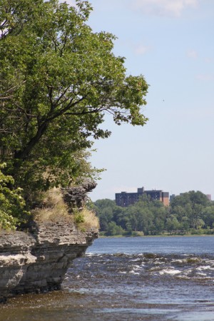 «Le long de la rivière des Outaouais, on retrouve de nombreux exemples de falaises calcaires, notamment aux rapides Deschênes.»