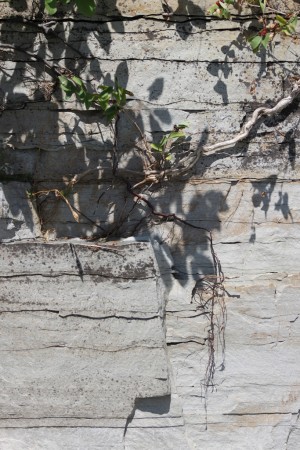 «Les strates et la couleur grise ou blanchâtre sont des caractéristiques typiques du calcaire.»