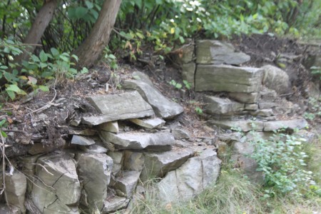 «Dû à son mince couvert végétal, le fond de calcaire de la vallée se révèle en plusieurs endroits.»