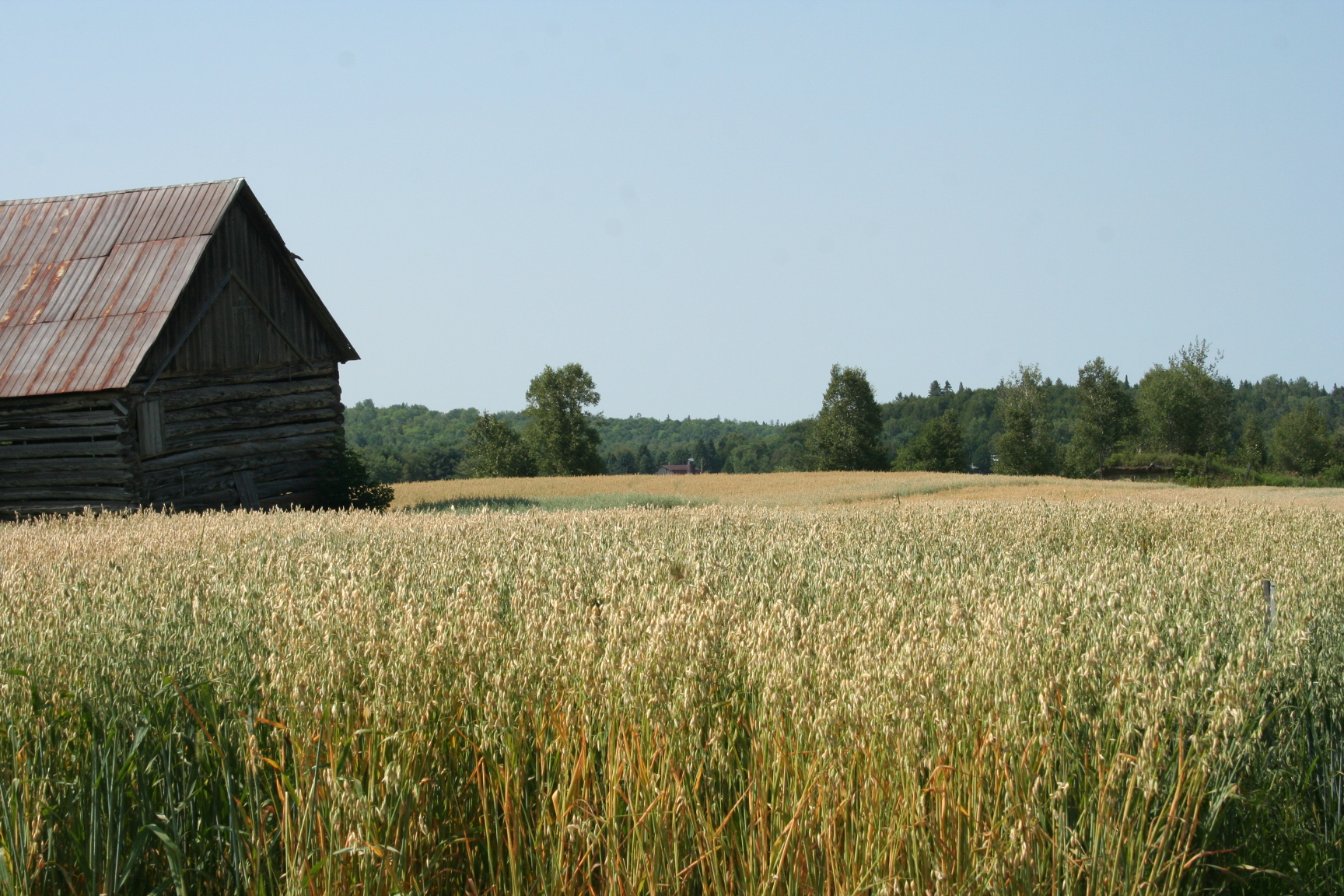 Ensemble de ferme du chemin Marks. ©Centre d'interprétation de l'historique de la protection de la forêt contre le feu, 2016