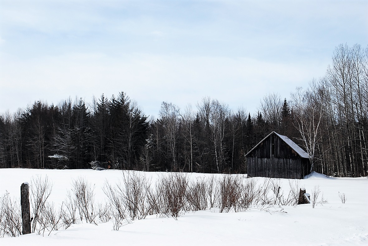 Chemin Ragged Chute. Photo : Laurence Buenerd, 2017.