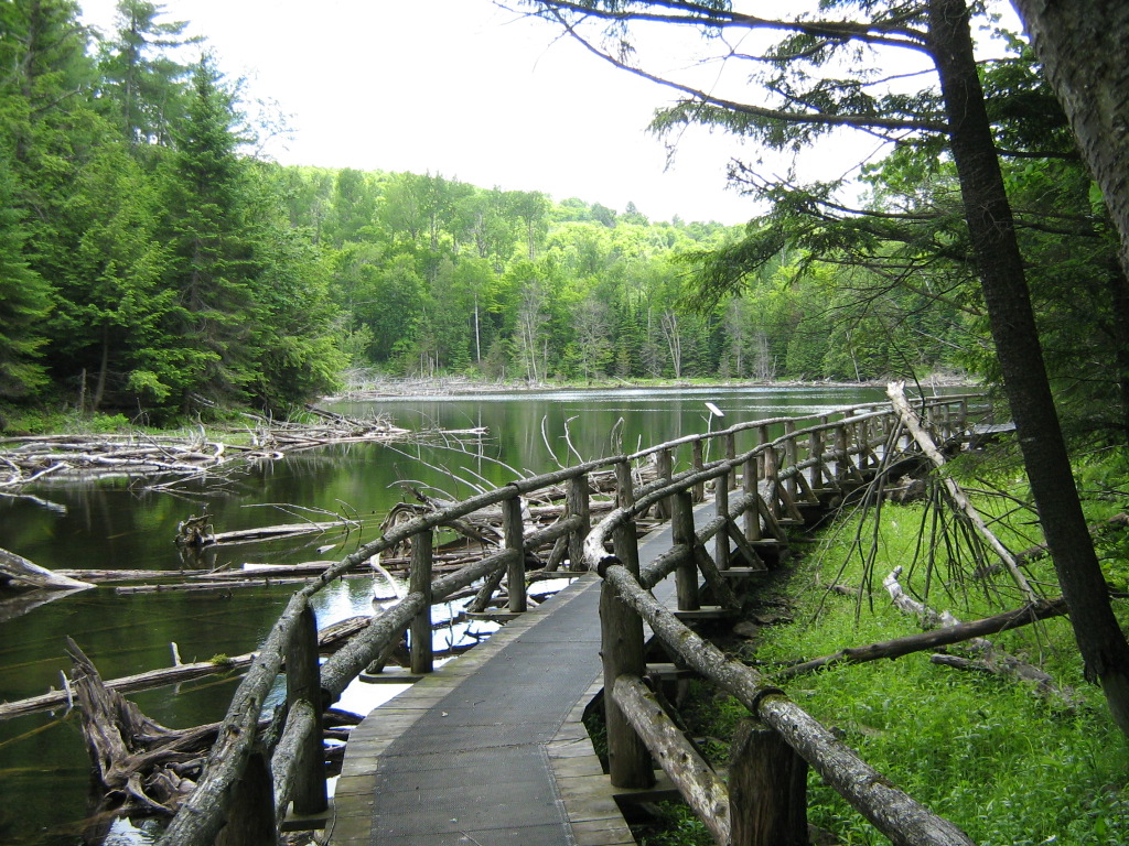 Réserve écologique de la Forêt-la-Blanche. Photo : Amis de la Forêt-la-Blanche